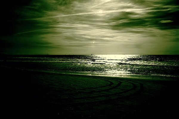 ocean16