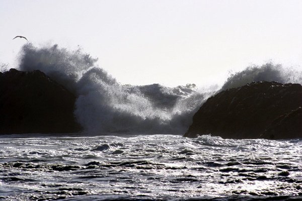 ocean32