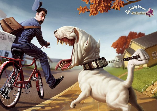 dog