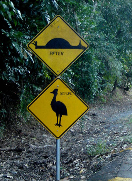 Cassowary: Before-After 